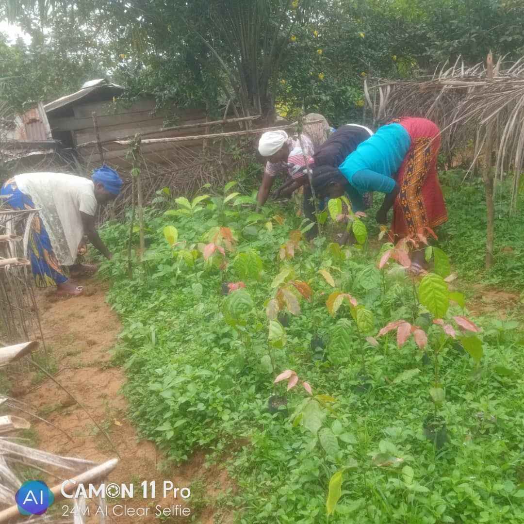 ...