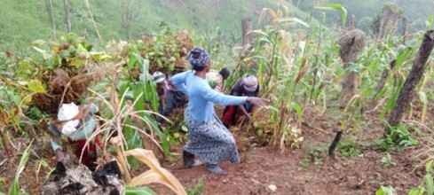 ...